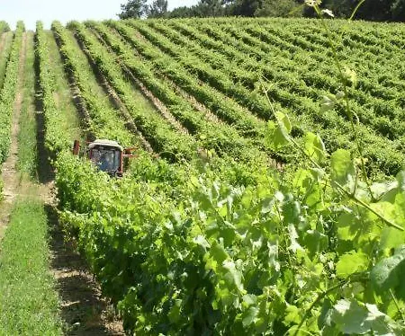 Quinta De Catralvos Pensjonat