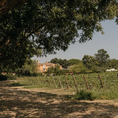 Quinta De Catralvos Guest house Azeitao