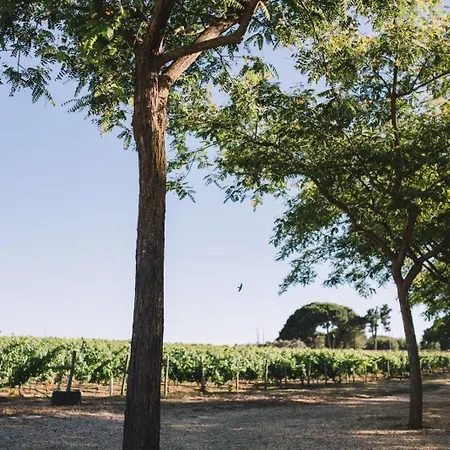 Quinta De Catralvos 3*