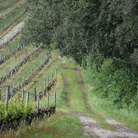 Quinta De Catralvos 3* Azeitão