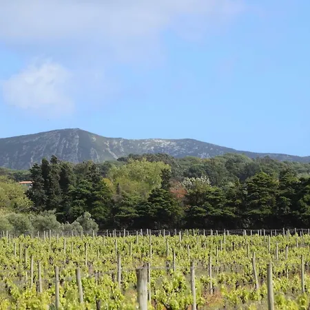 Pensjonat Quinta De Catralvos 3*