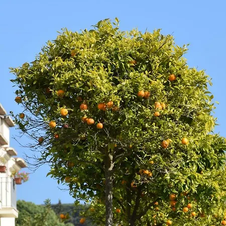 Quinta De Catralvos Casa de hóspedes
