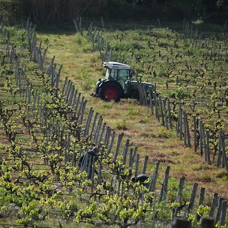 Pensjonat Quinta De Catralvos