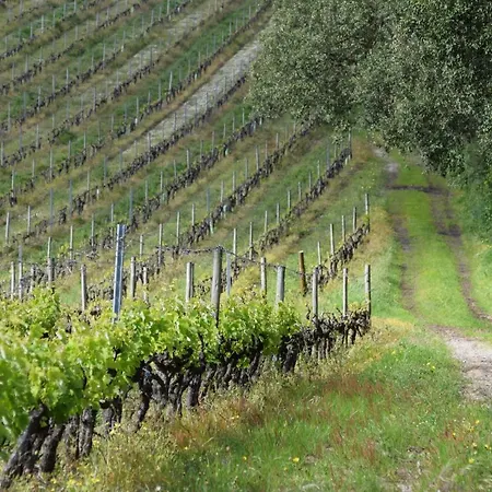 招待所 金塔德酒店 3*