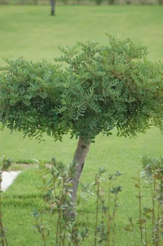 Casa de hóspedes Quinta De Catralvos Azeitão