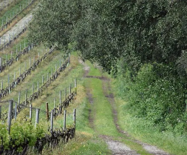 Quinta De Catralvos 3* Azeitão