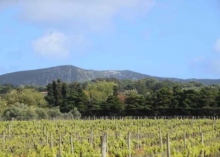 Casa de hóspedes Quinta De Catralvos 3*