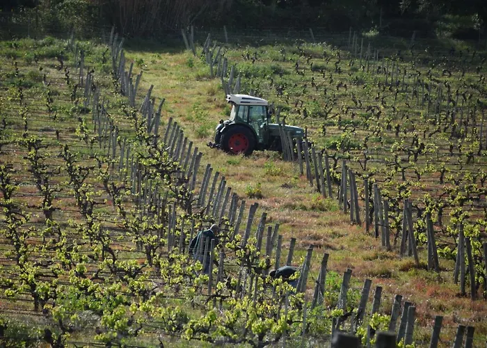 Casa de hóspedes Quinta De Catralvos