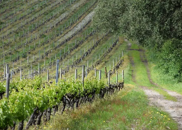 Casa de hóspedes Quinta De Catralvos 3*